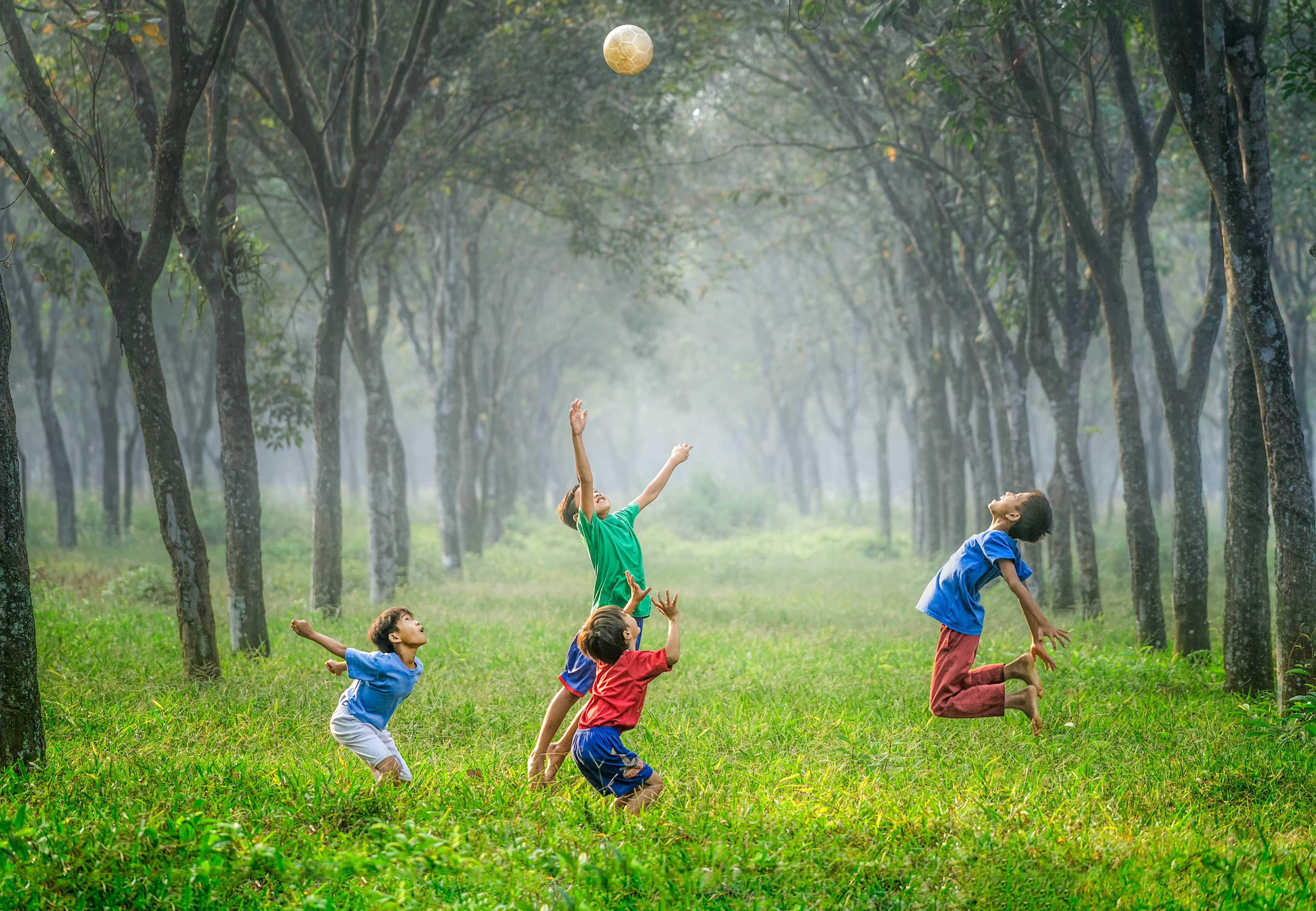 kids playing in woods